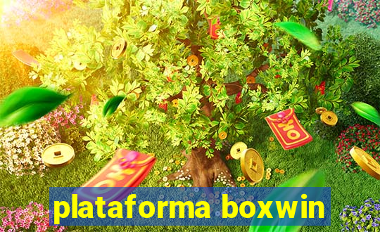 plataforma boxwin